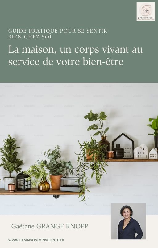 ✨ NOUVEAUTÉ ! ✨