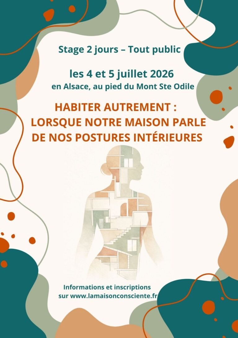 Stage d&rsquo; été 2026